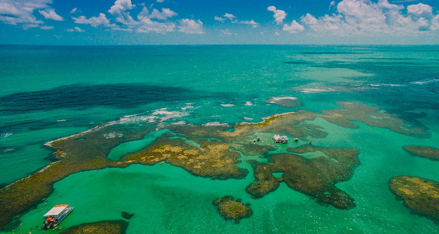 Passeios Ecológicos em João Pessoa